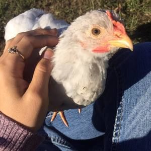 Meet your Posher, Amber